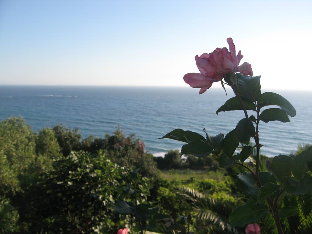 Areti Appartamento Paramonas (Corfu)